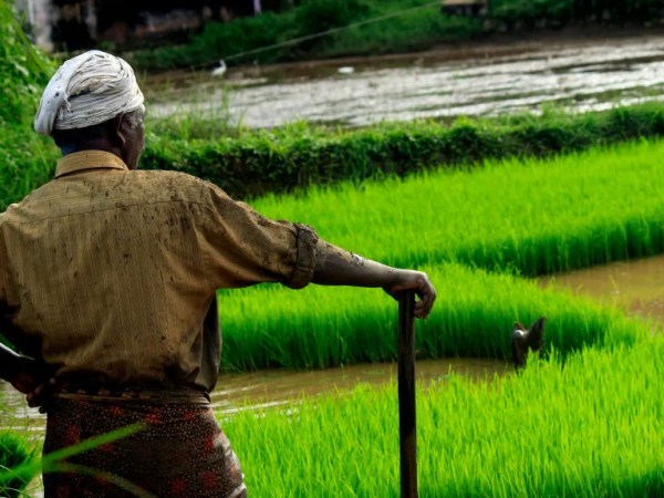 Consider the human – Report from Part 1 of GFFN Data Systems Integration&nbsp;Forum