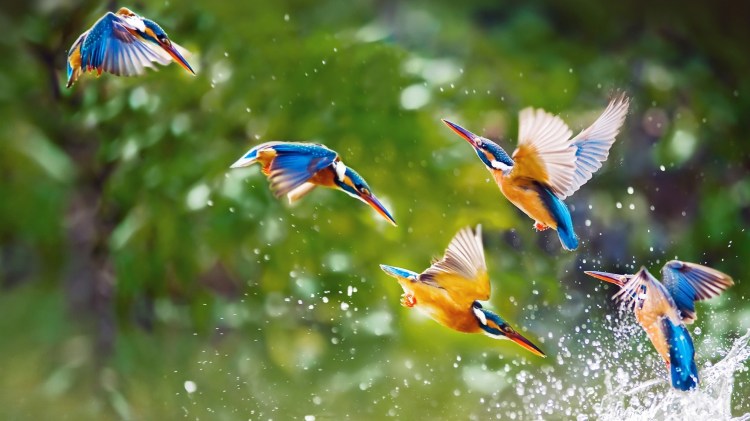 Agroecology to drive high-value sustainable&nbsp;development